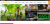 webeys.com